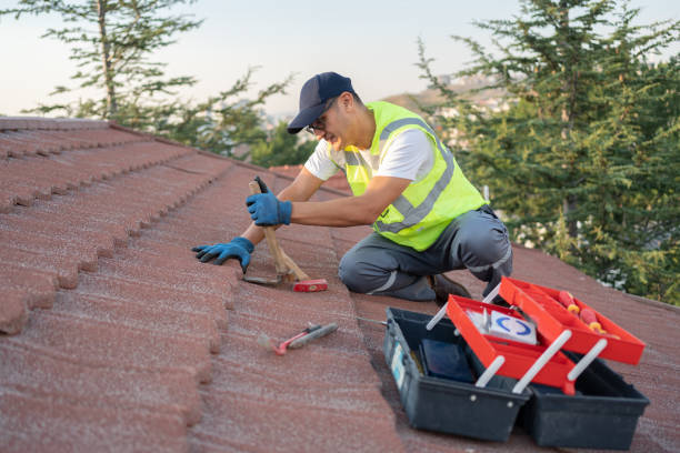 Best Roof Gutter Cleaning  in Huntersville, NC